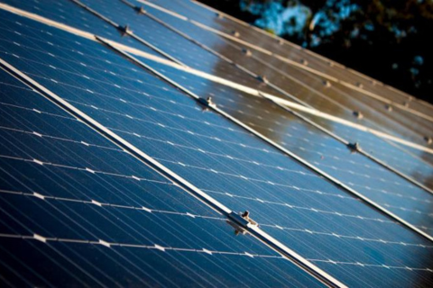 Solar Panel Cleaning Service